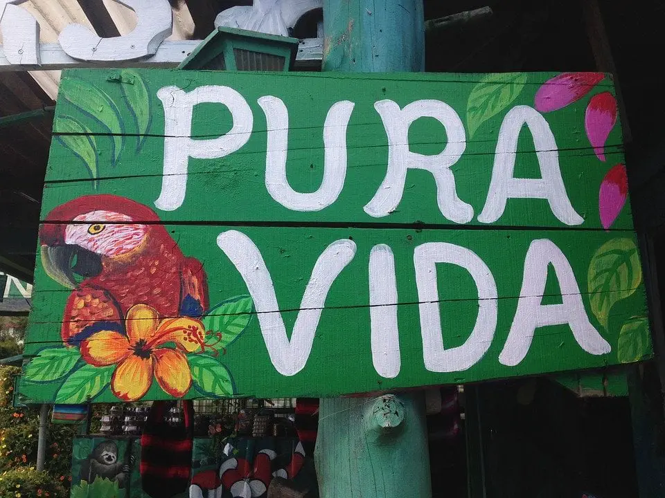 Cómo ser voluntario en Costa Rica gratis: 3 consejos para ser voluntario en Costa Rica con un presupuesto limitado