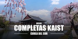 Becas KAIST Corea del Sur