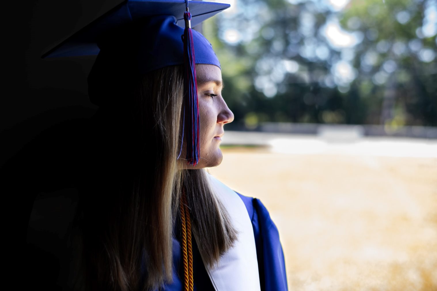 Becas Para Estudiantes Latinos en Dinamarca