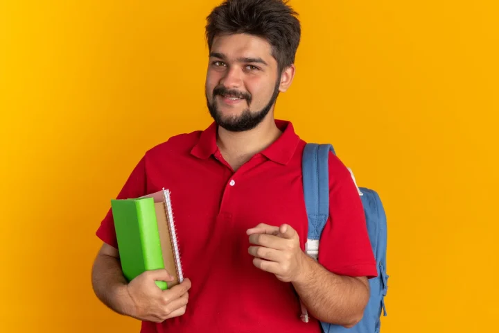 Gobierno de Irlanda: becas GOI-IES de maestría y doctorado